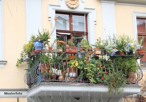 Keine Originalbilder