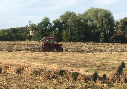 Herbstimpression vor dem Grund