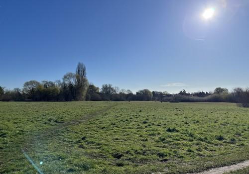 Sonnenaufgang v d Grundstück