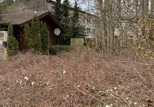 Blockbohlenhaus weiter weg