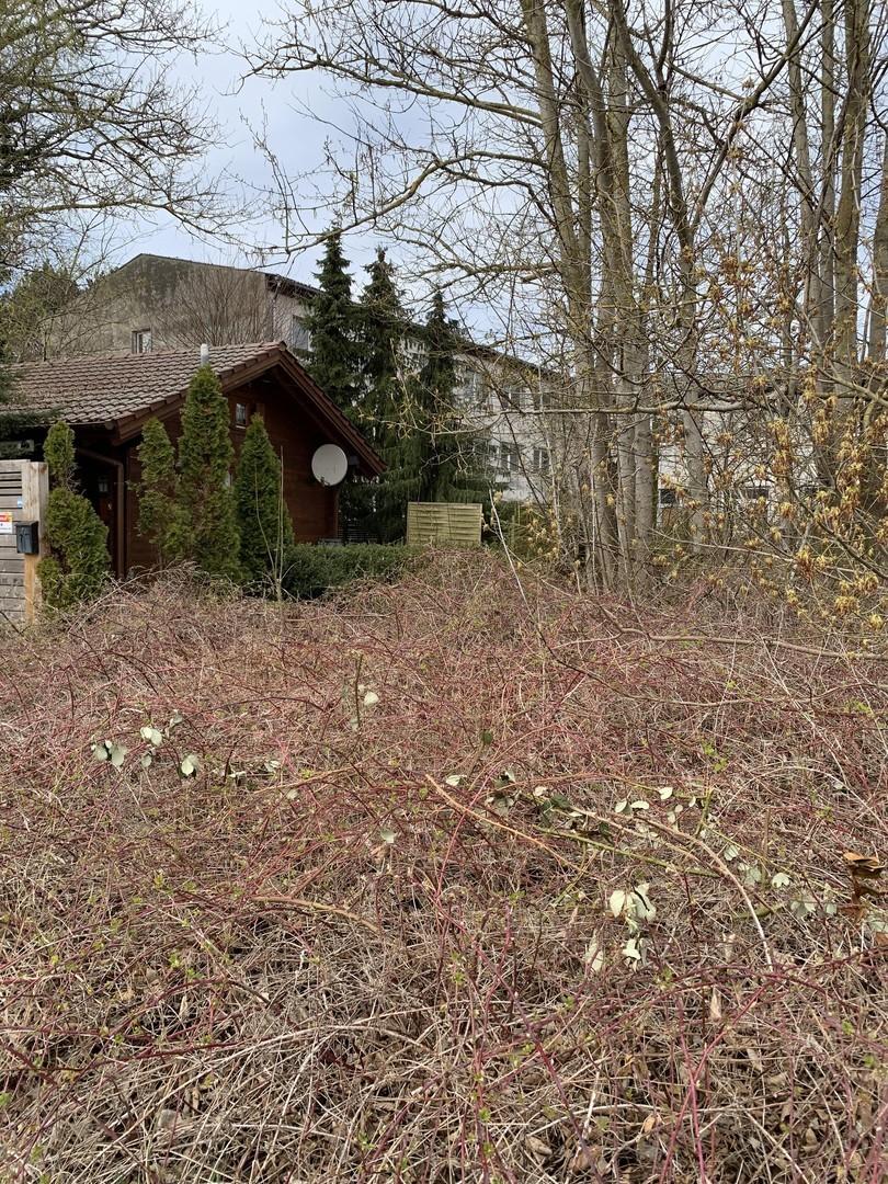 Blockbohlenhaus weiter weg