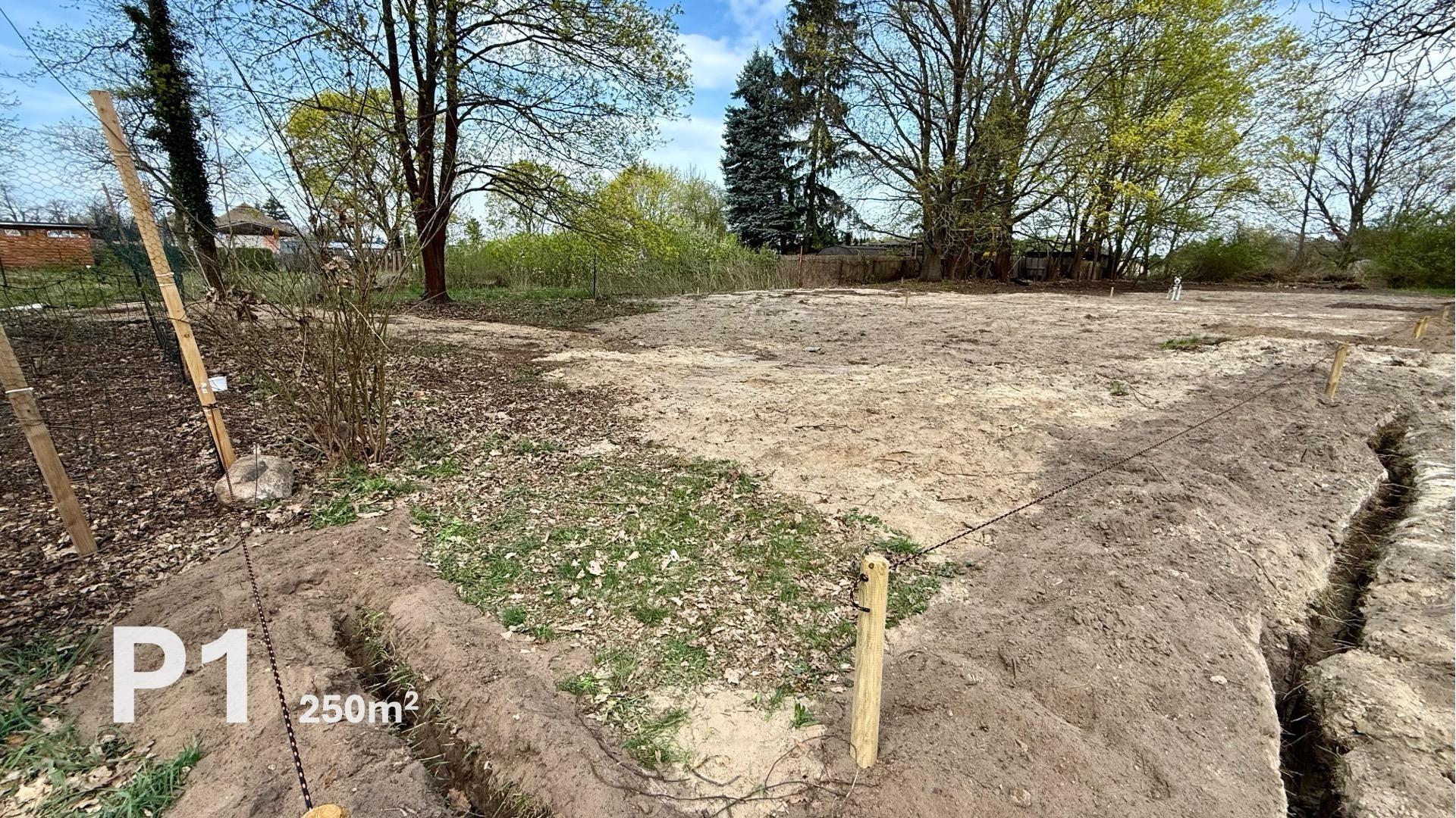 Parzelle P1