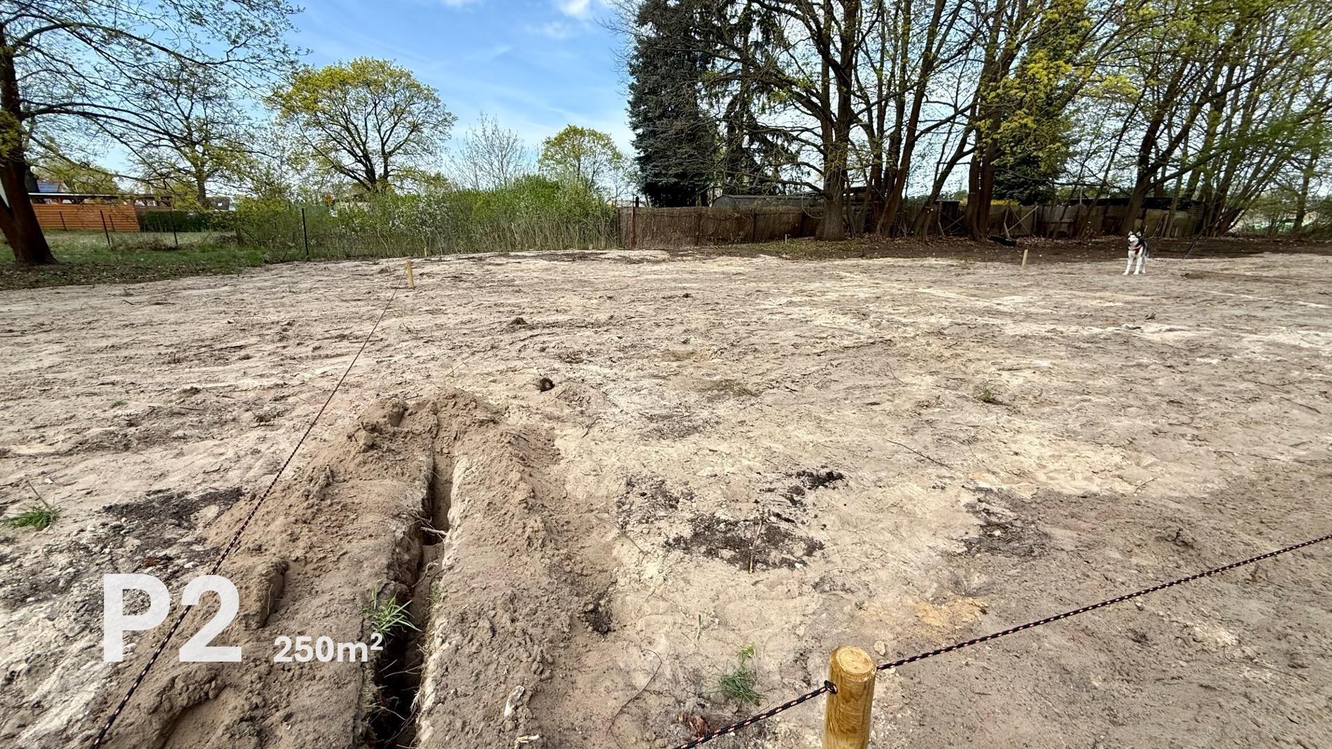 Parzelle P2
