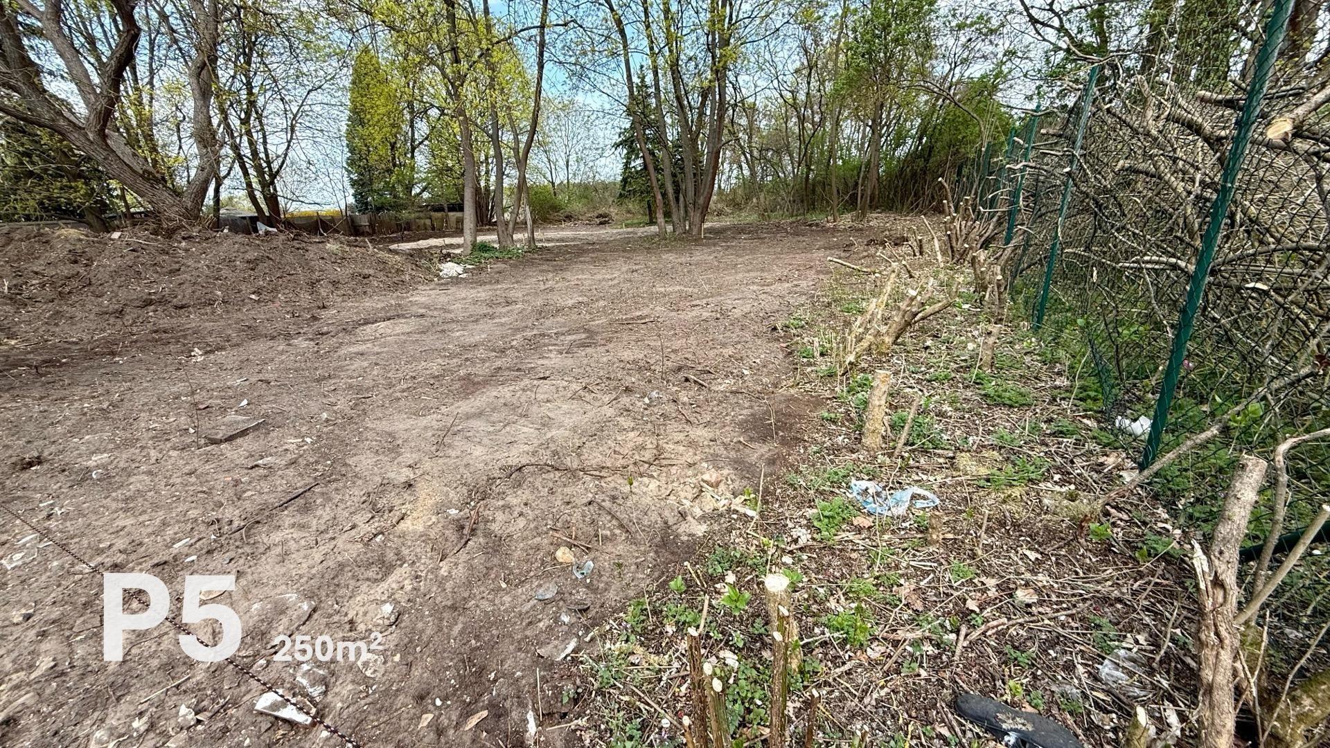 Parzelle P5