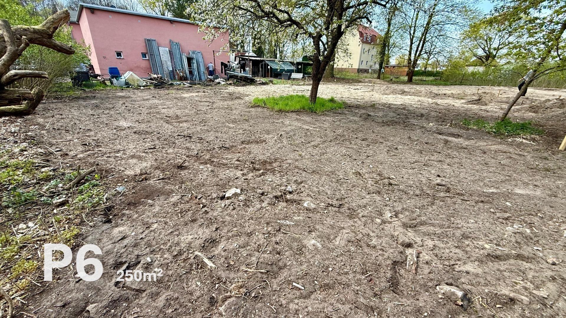 Parzelle P6
