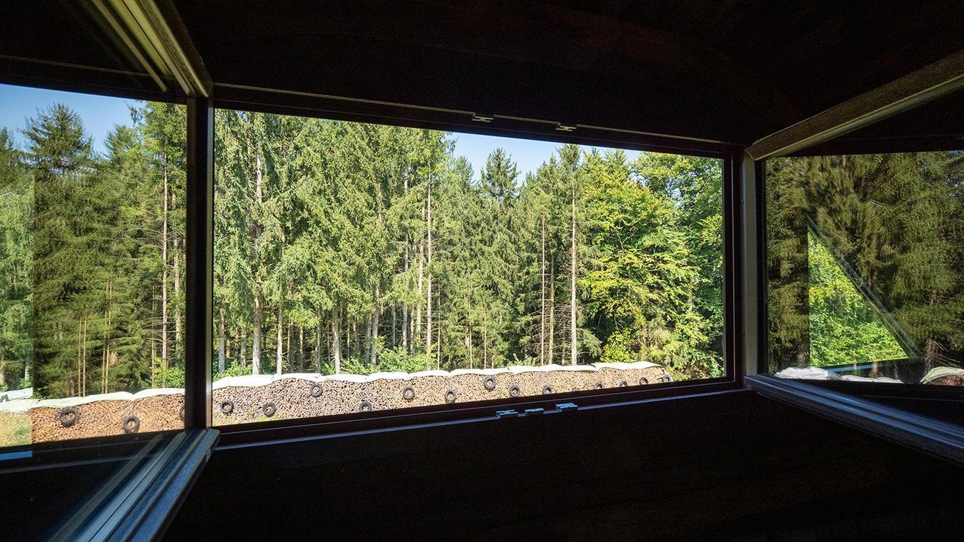 Ausblick Dachgeschoss