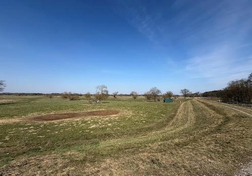 Blick über den Deich-2