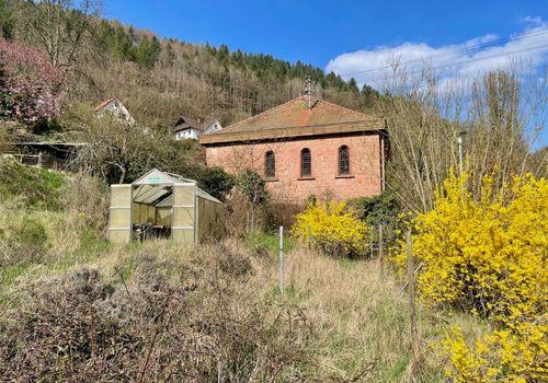 Zusätzlicher Garten (optional) - Blick ost