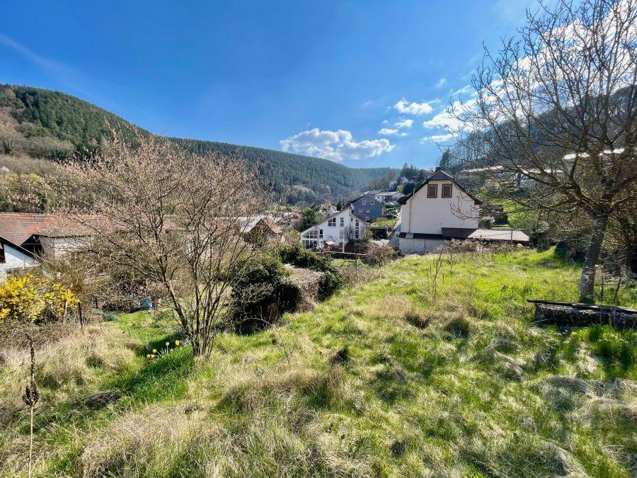Zusätzlicher Garten (optional) - Blick West von oben