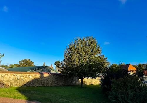 Garten vorm Nordflügel (1)