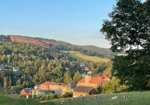 Zum Verlieben, nicht wahr