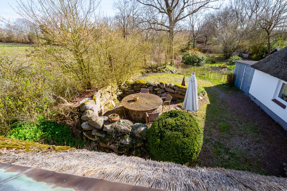 Blick aus dem Fenster in den Garten