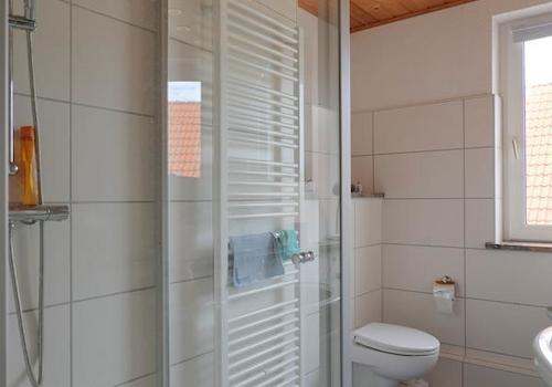 Dusche und Handtuchheizkörper