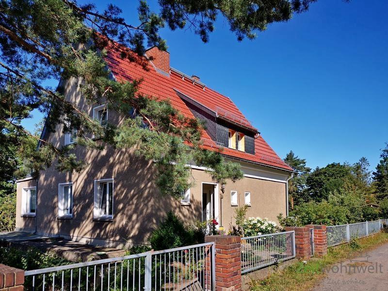 Außenansicht im Sommer