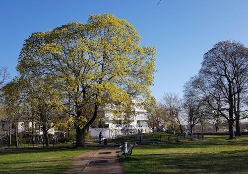 ...mit Abenteuerspielplatz