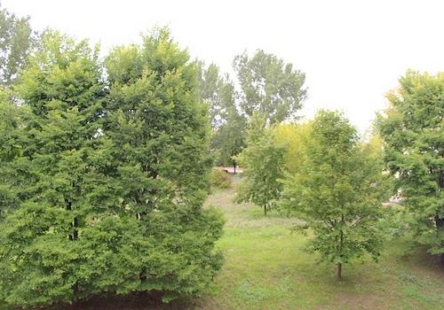 Blick von ihrem Schlafzimmer