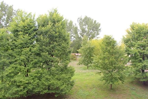 Blick von ihrem Schlafzimmer