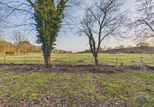 Feldrandblick vom Garten aus