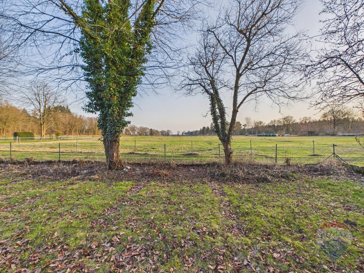 Feldrandblick vom Garten aus