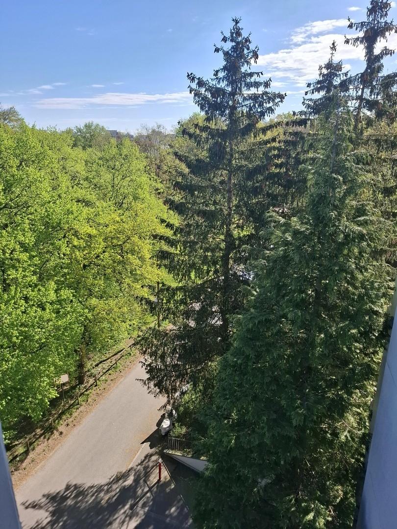 Ausblick Schlafzimmer