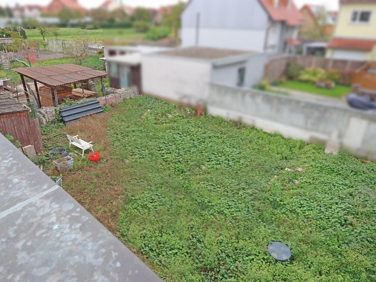 Blick in den Garten