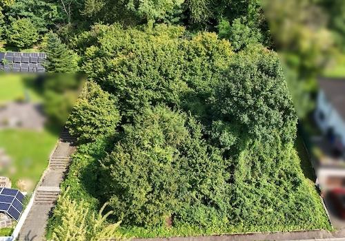 Blick auf das Baugrundstück