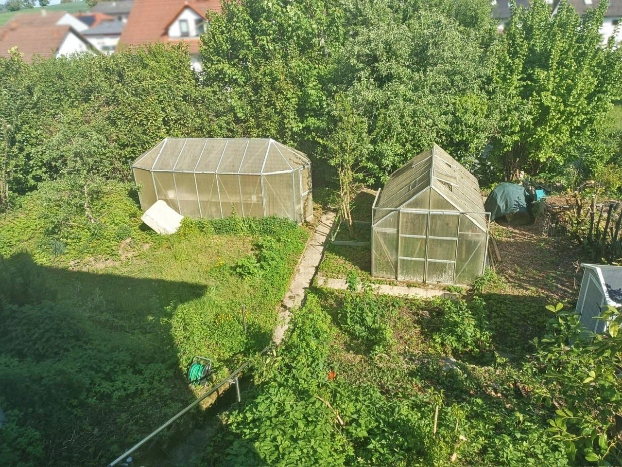 Blick in den Garten