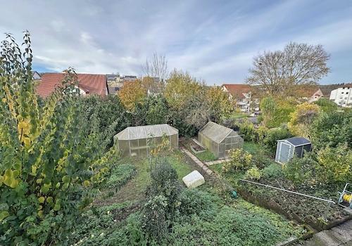 Blick in den Garten