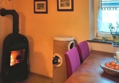 Essplatz mit Holzofen EG