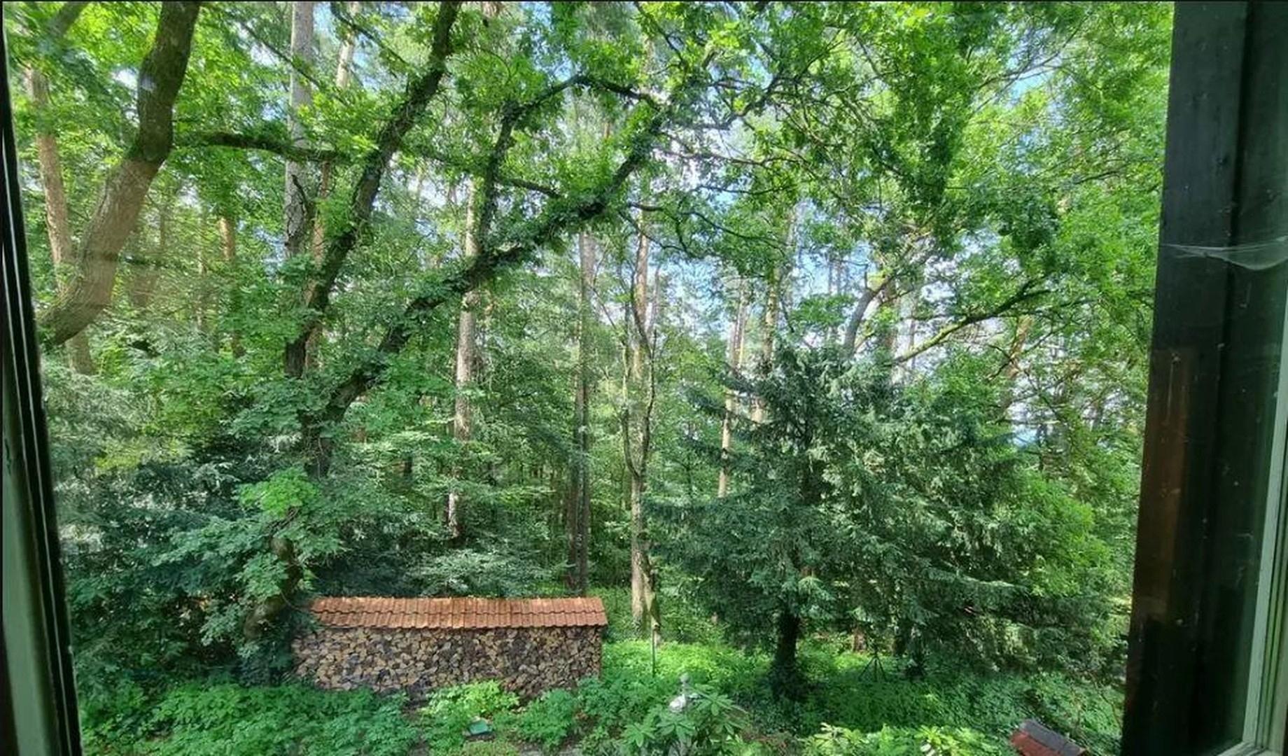 Blick aus dem Schlafzimmer