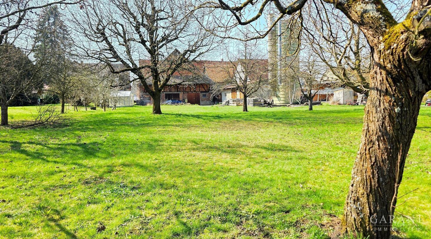 Grundstück + Gebäuderückseite