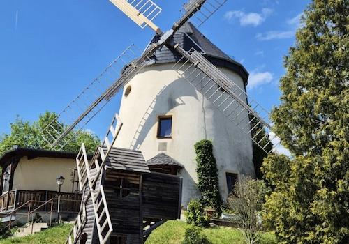 Mühlenflügel wieder komplett