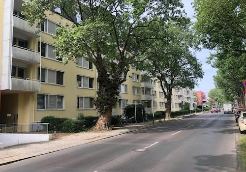 Objektansicht straßenseitig