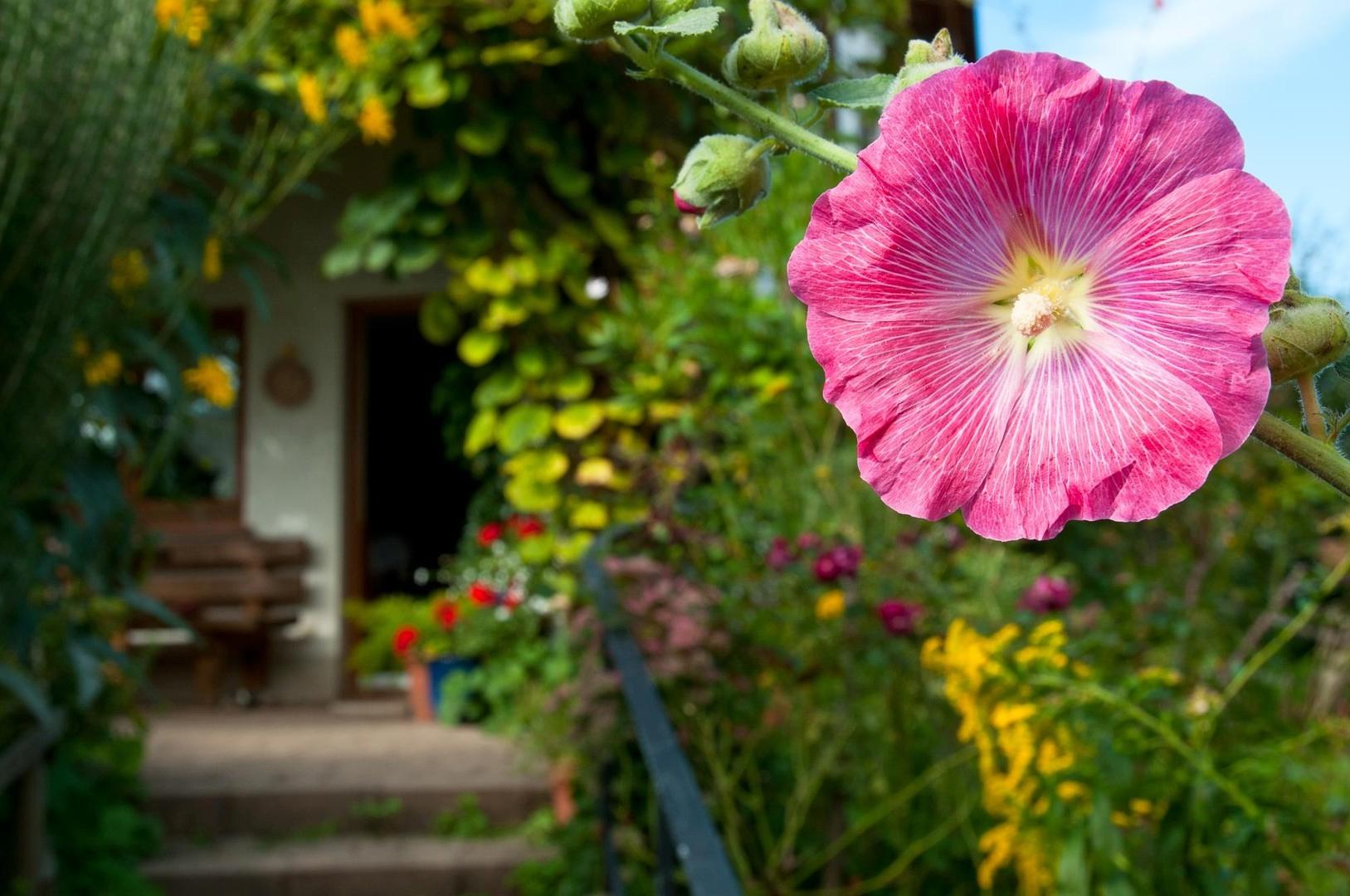 Haus 1 Terrassentür