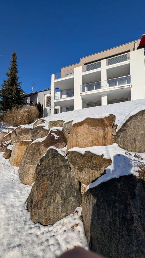 PXL_20260103_110236579