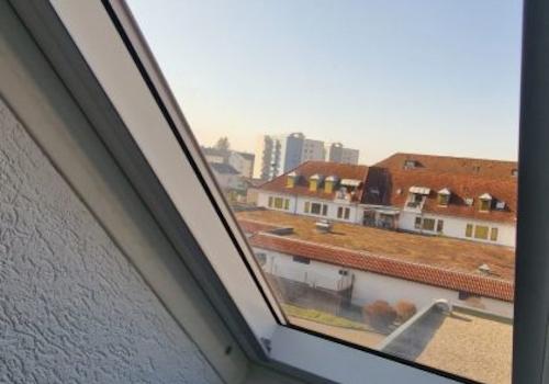 PHOTO-2023-02-14-13-52-41-2