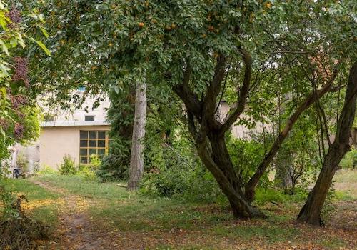 Atelierhaus-Gartenanfang