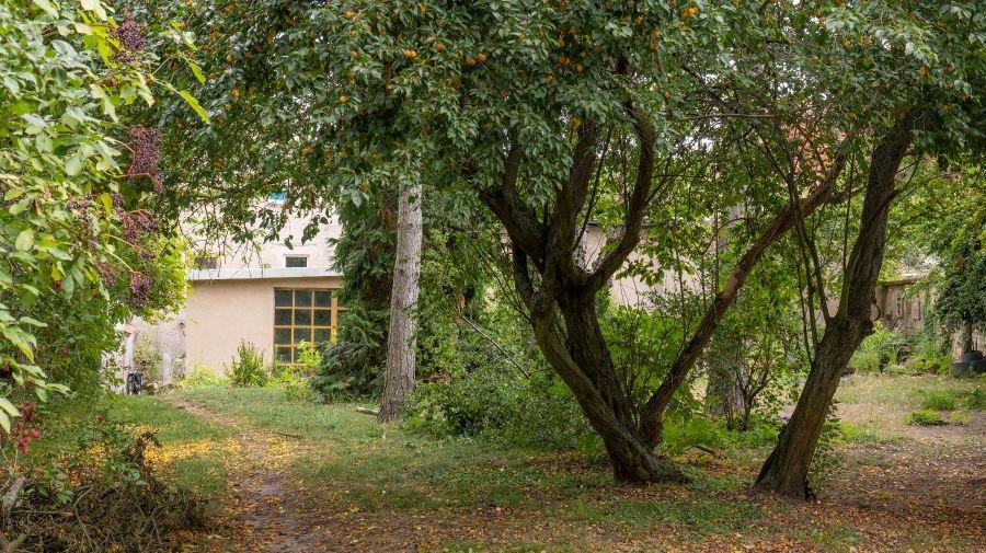 Atelierhaus-Gartenanfang