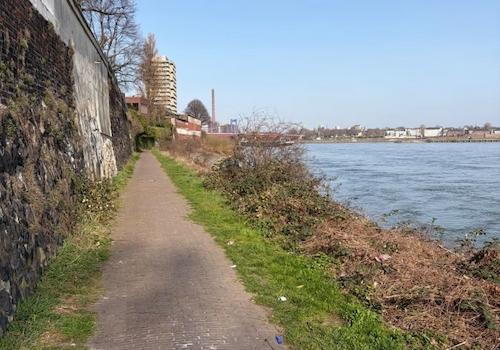 Rheinufer Spazier und Radweg