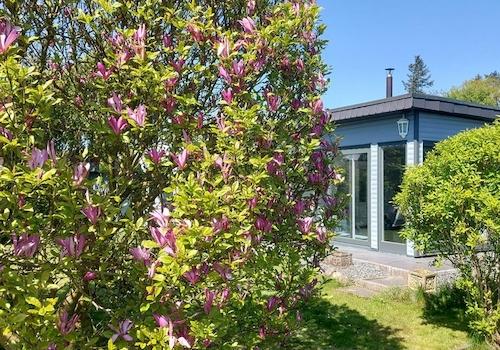 Garten mit Blick auf das Haus