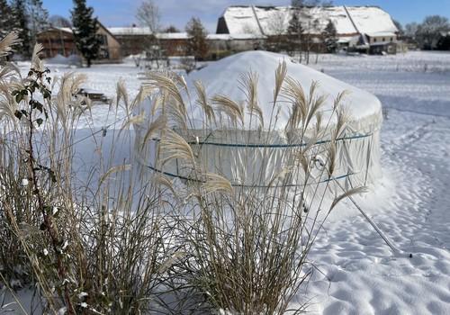 Garten im Winter