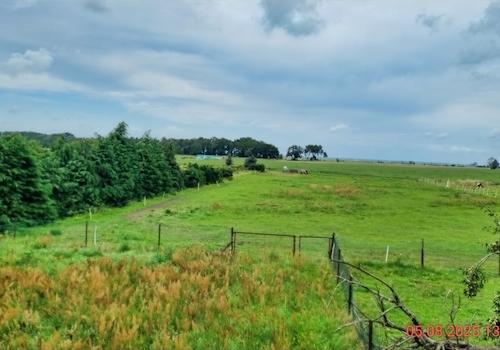 Grundstücksblich Richtung Haff