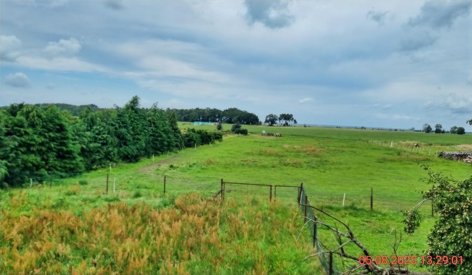 Grundstücksblich Richtung Haff