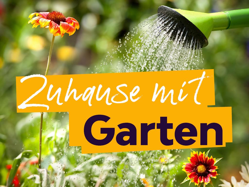 Zuhause mit Garten