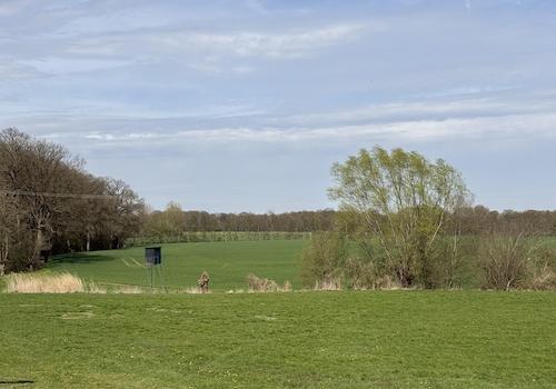 Fantastischer Blick ins Grüne