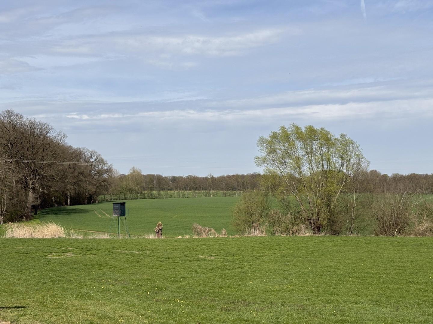 Fantastischer Blick ins Grüne