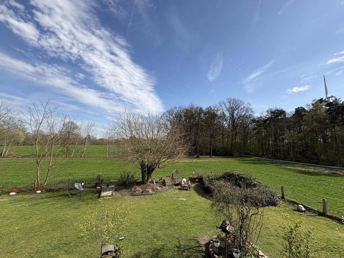 Panoramanaturausblick