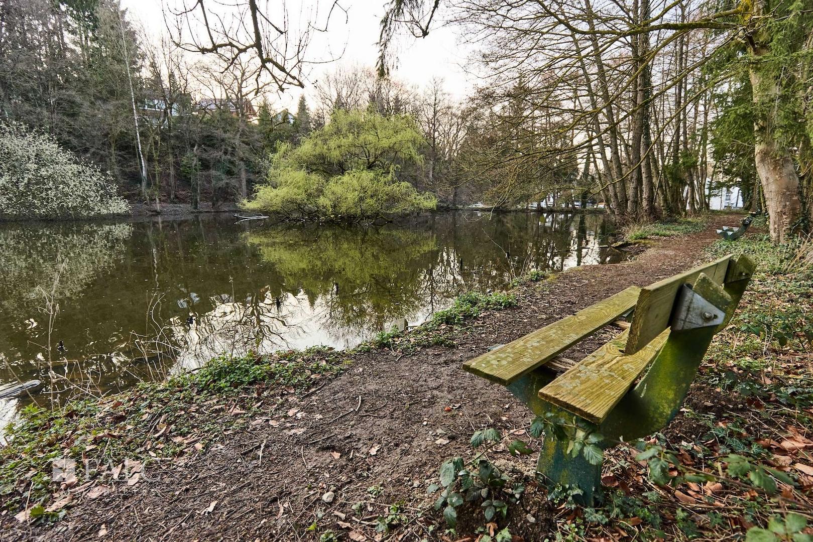 Benachbarter Weiher 