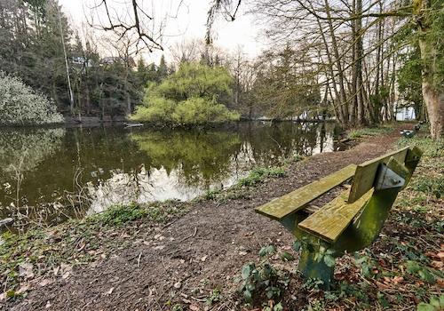 Benachbarter Weiher 