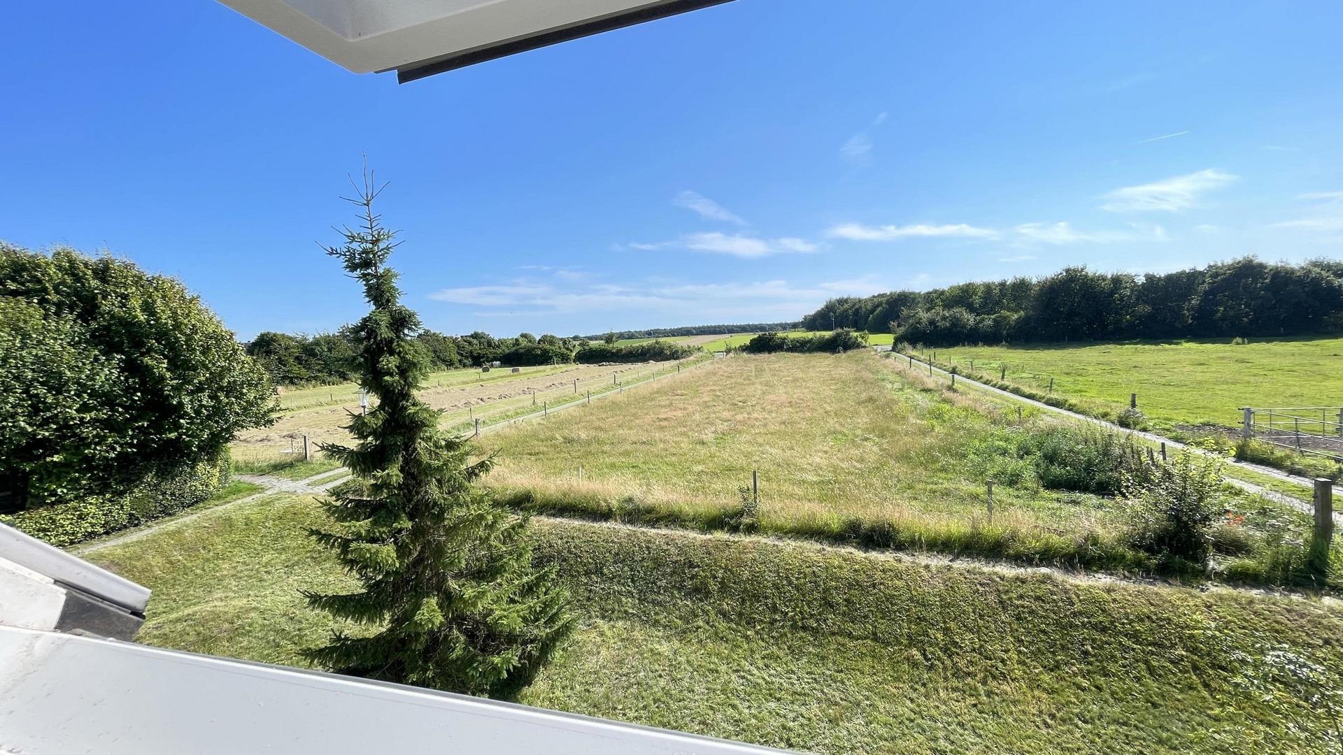 Blick aus dem Dachgeschoss